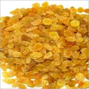 Golden Raisins