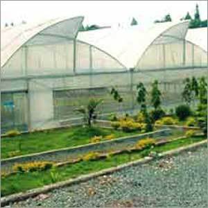 Green House