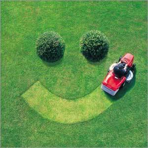 Lawn Mower & Grass Cutters