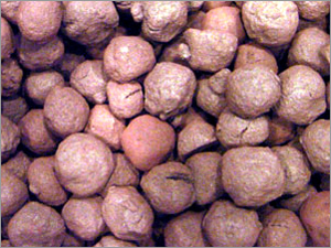 Pellet Ore