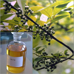 Eucalyptus Oil