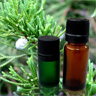 Cypress Essential Oil