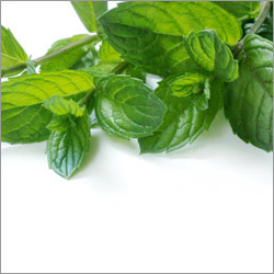 Peppermint Oil