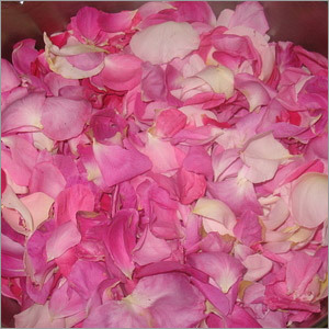 Rose Oil
