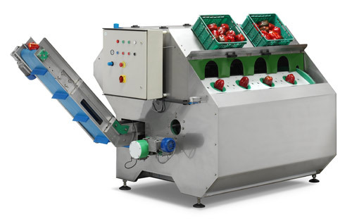 Onion Peeling Machines
