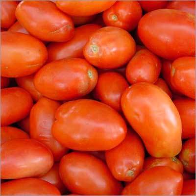 Tomato