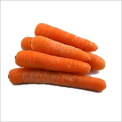 Carrot
