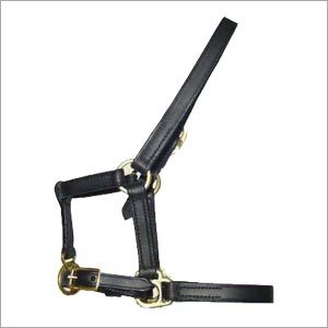 Foal Halter