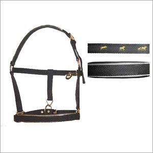 Nylon Halter Pippin