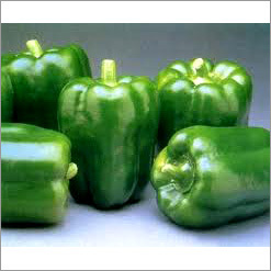 Capsicum