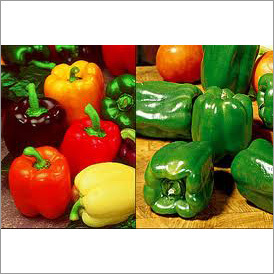 Capsicum Oleoresin