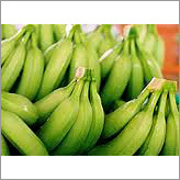 Fresh Banana