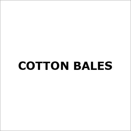 Cotton Bales By VIJAYSHRI TRADING COMPANY
