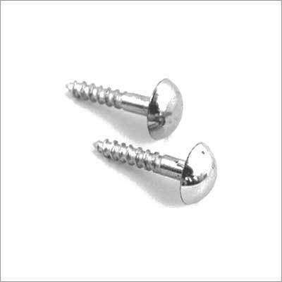 Stainless Steel Mirror Screws
