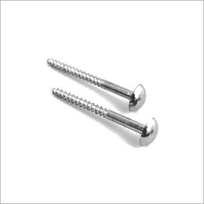 Silver Mirror Screws