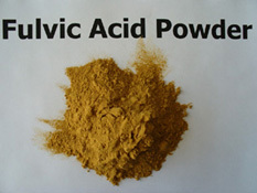 Fulvic Acid