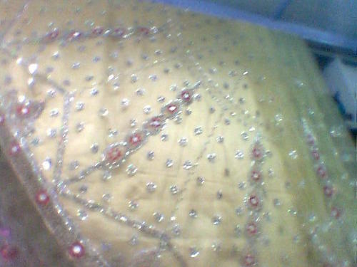 Lehenga With Crystal Work