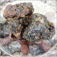 Commiphora Mukul Extract