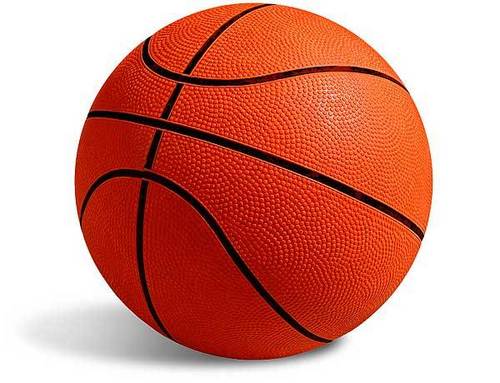 Champion Basket Ball