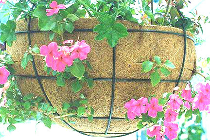 Coir Fibre Basket