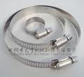 Stainless Steel Gubilee Clamp