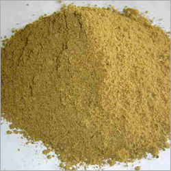Fish Meal Powder