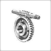 Worm Gear