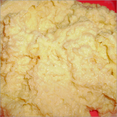 Milk Khoya