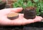 coir pellets