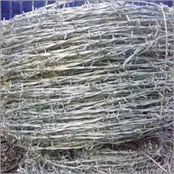 Barbed Wire