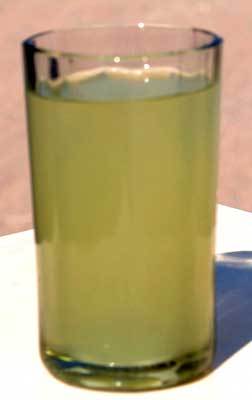 Aloe Vera Juice