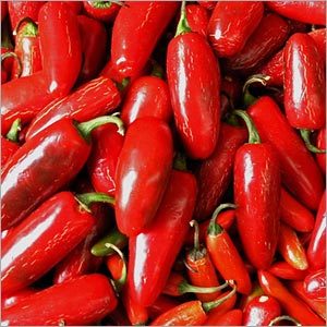 Red Chilli