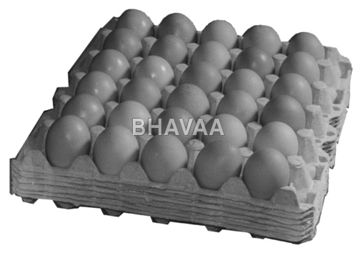 Lock Less Egg Tray