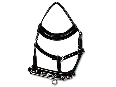 Halters