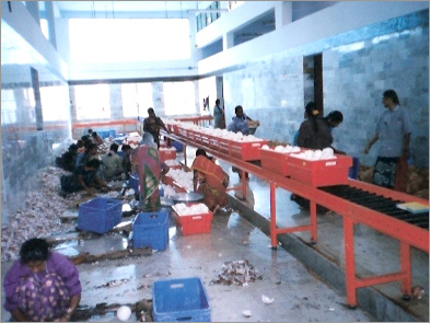 Material Handling Conveyors