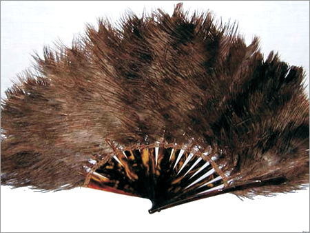 Emu Feathers