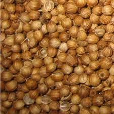 coriander