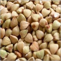 Organic Cereals