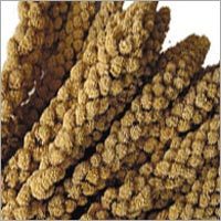 Millets (Bajra, Jowar & Ragi)