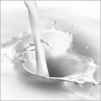 Milk Products