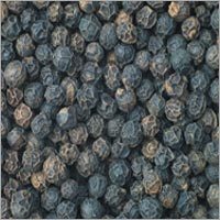Black Pepper
