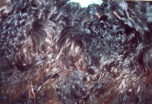 Remy Bulk Human Hair - Black, Curly, Variable Length | Shiny Curls, Tangle-Free, Smooth, Strong Knits, Lice-Free, Customizable