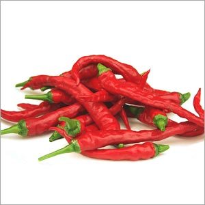 Red Chilli - Long Slender Shape, Red Color | Intense Flavor, High Heat, Culinary Versatility, Rich Aroma