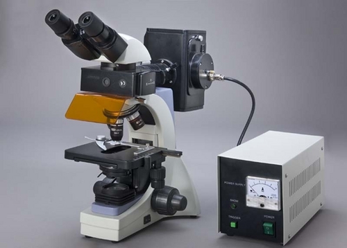 Fluorescent Microscope KZQ-102