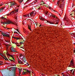 Changer Air Cooler-D.G. (Heavy)