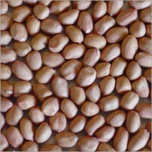 Groundnut Kernels
