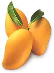 Mango pulps