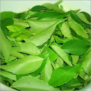 Curry Leaf Oil - Cold Pressed, 100ml Green Essential Oil, Purity >99% | Calming Scent, Hair Growth, Skin Friendly, Zero Side Effects
