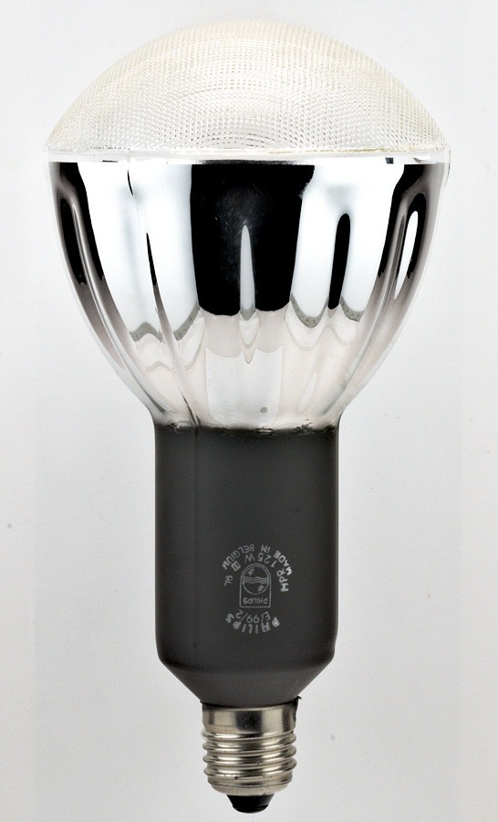 Special Purpose Lamps - Color: Cool White