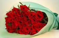 Grand Gala Rose Burgundy